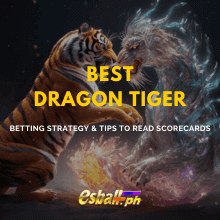 Best Dragon Tiger Betting Strategy & Tips to Read Scorecards