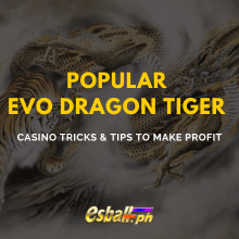 Dragon Tiger Casino Tricks and Tips to Win & Make Profit