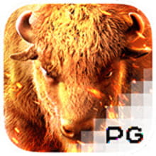 PG Soft Buffalo Win Slot Game Demo