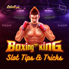 Jili Boxing King Slot Tricks & Tips: How to Win & Jackpot