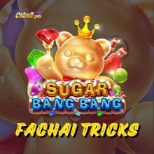 FaChai Sugar Bang Bang Tricks: How to Win & Win Strategy